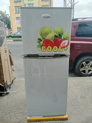 Restpoint Refrigerator Double Door Low Voltage