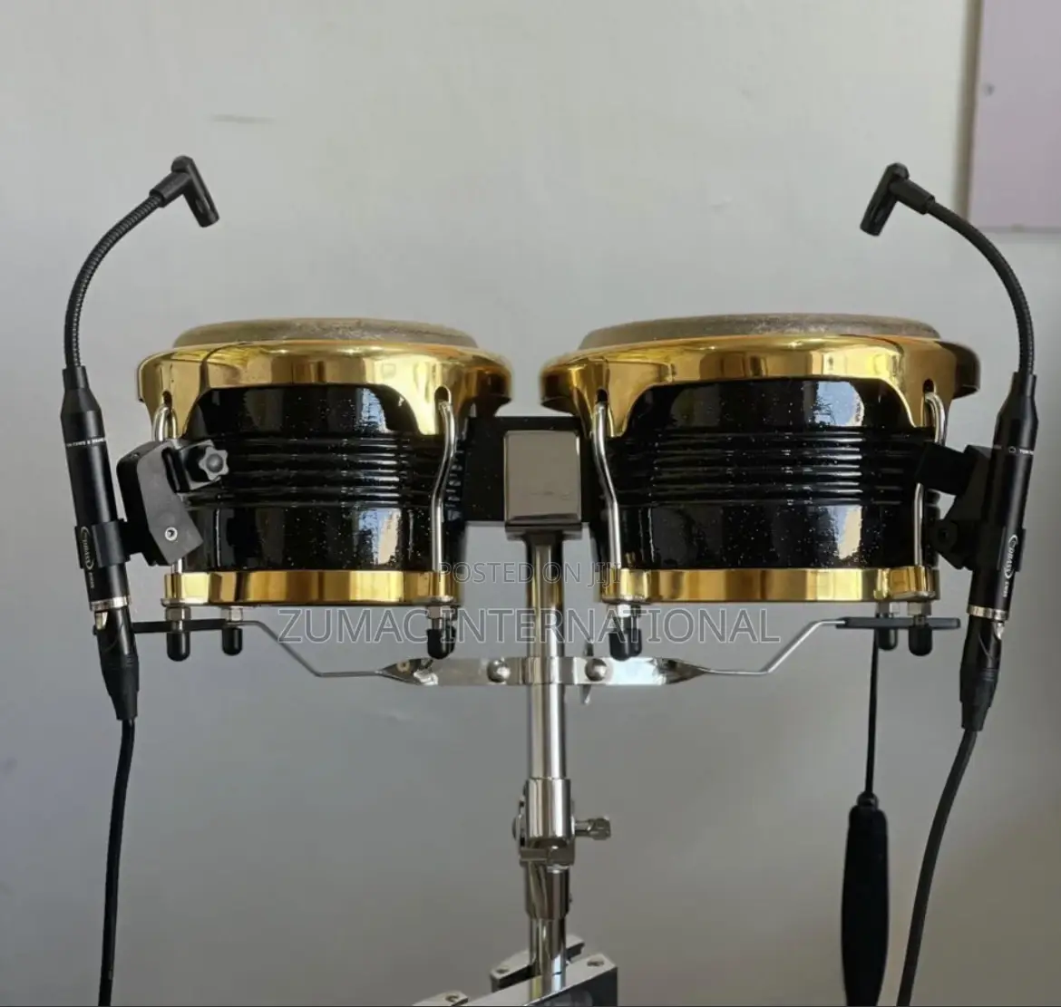 Conga Microphone
