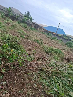3 Plot of Land Together for in Baruwa Ipaja, Lagos State