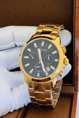 Citizen Chronograph Chain Wrist Watch