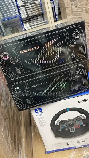 Rog Ally X