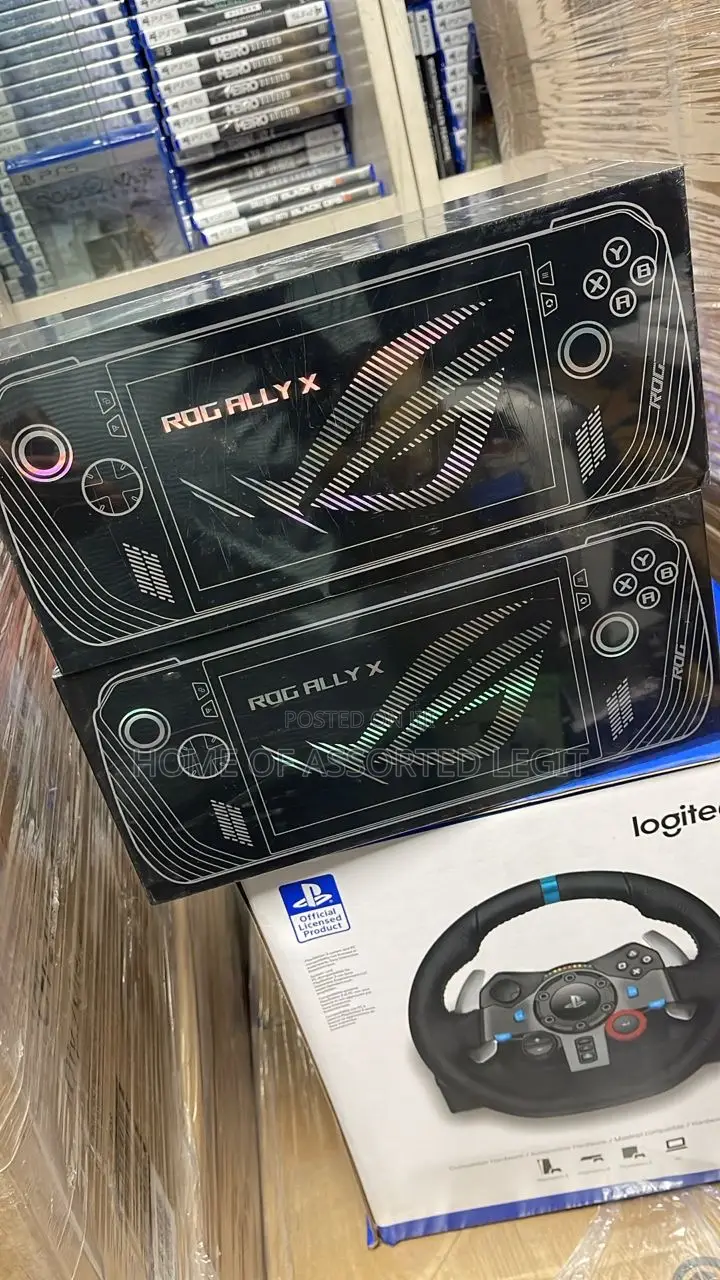Rog Ally X