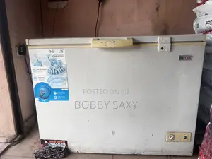 Nexus Freezer 300l for Sale