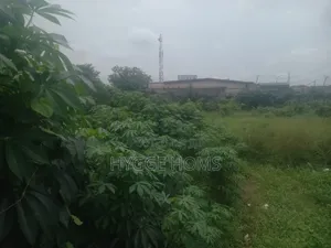 Full Plot of Land Maplewood Estate Virgin Land