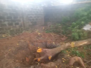 676sqm Full Plot of Land Labak Estate Cofo