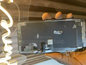 11 Promax Screen