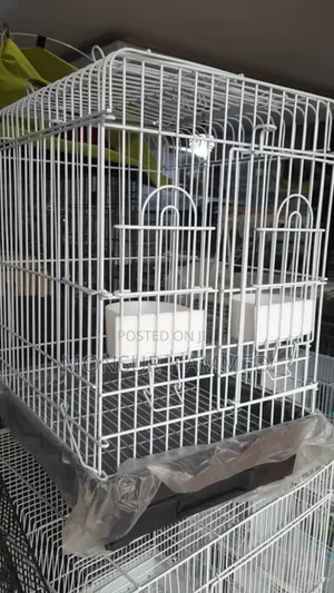 Luxury Bird Cage