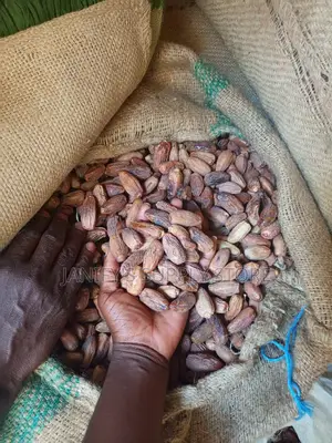Dry Date in Kg