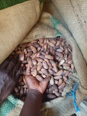 Dry Date in Kg