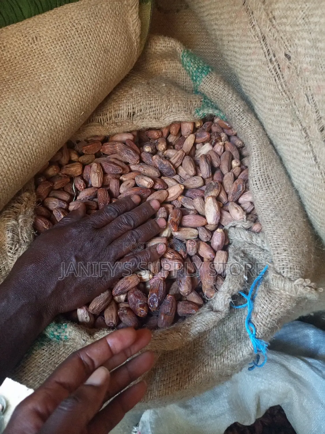 Dry Date in Kg