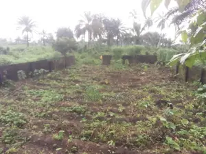 More Than One Plot of Land for Sale