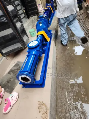 Complete Coupled Mono Screw Pump 10hp (Inlet/Outlet 100/80)