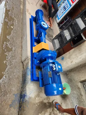 Complete Couple 10hp Mono Screw Pump (Inlet/Outlet 100/80)