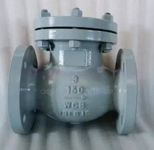 Swing Check Valve/ Non-Return Valve (All Sizes Available)