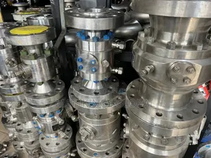 Stainless Steel Valves