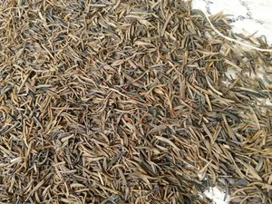 Ugba (Oil Bean)