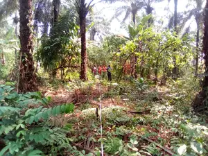 Geophysical Survey,Drilling and Casing