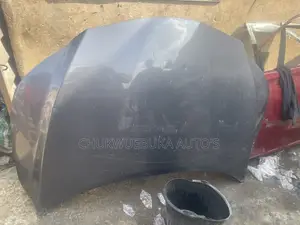 Bonnet Rx350 2018