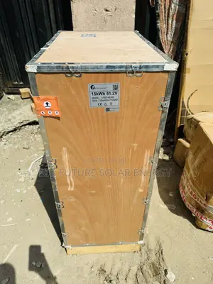 15kwh Felicity Lithium Battery 51.2v