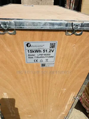 15kwh Felicity Lithium Battery 51.2v