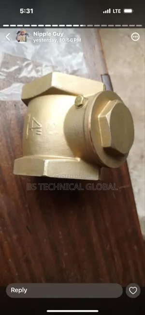 2" T Strainer