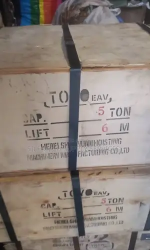 5t X 6m Toyo Chainblock