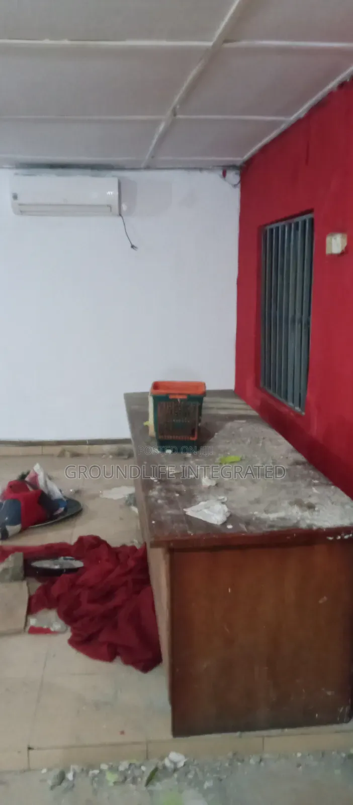 Professional Painter