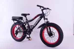 New Arrival Usa Standard Fat Tyres Bicycle Available