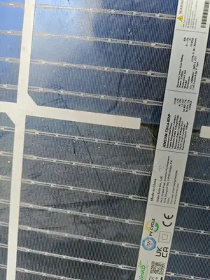 Jinko Solar Panel 555w