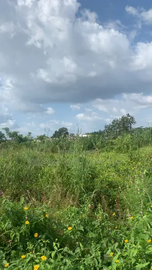 1125 (2plot) of Vacant Land for Sale at Jericho Ibadan