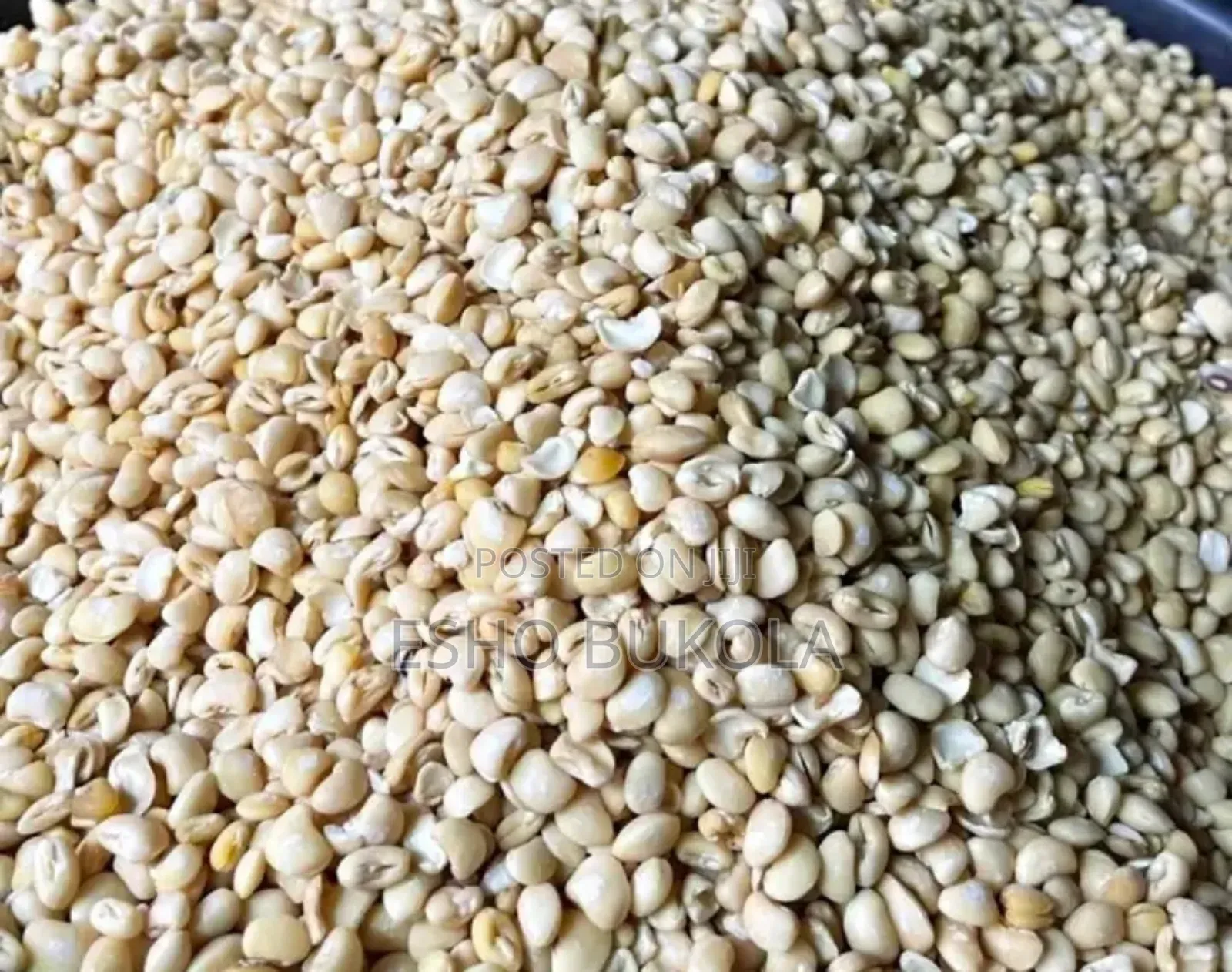 Peeled Beans and Powder
