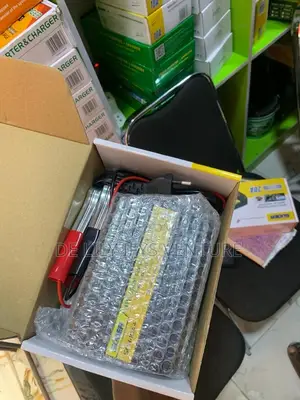 Intelligent Digital Display Battery Charger 10ah