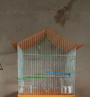 Beautiful Bird Cage