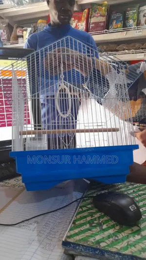 Fancy Bird Cage