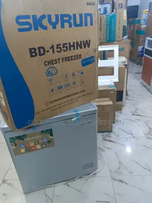 Skyrun Bd-155hnw 155l: Budget-Friendly Bulk Storage