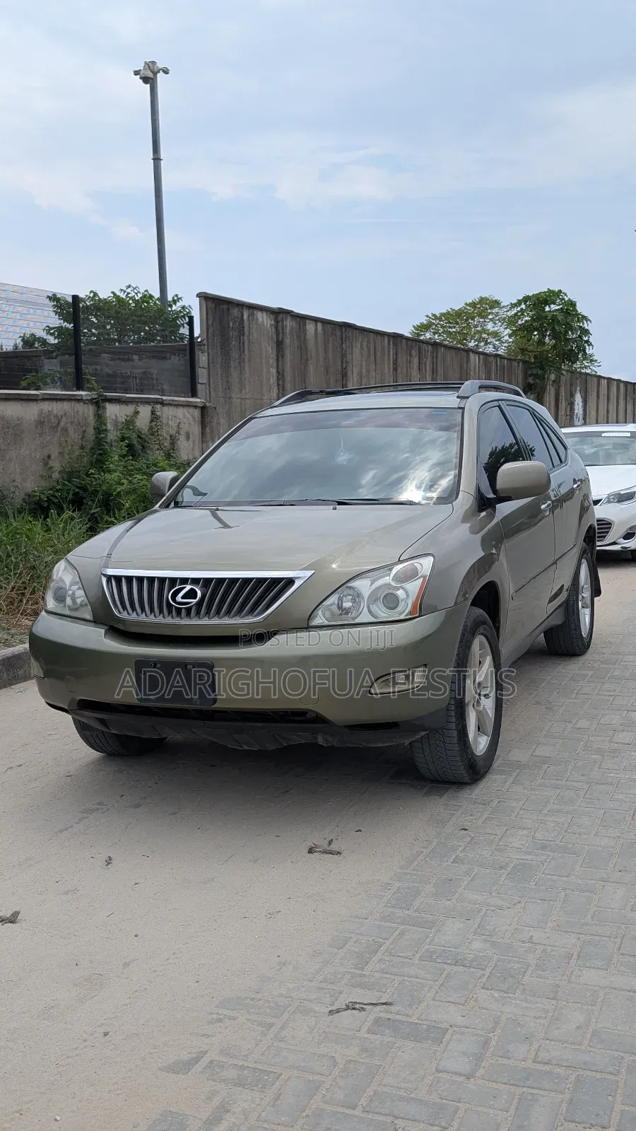 Lexus RX 2009 Green
