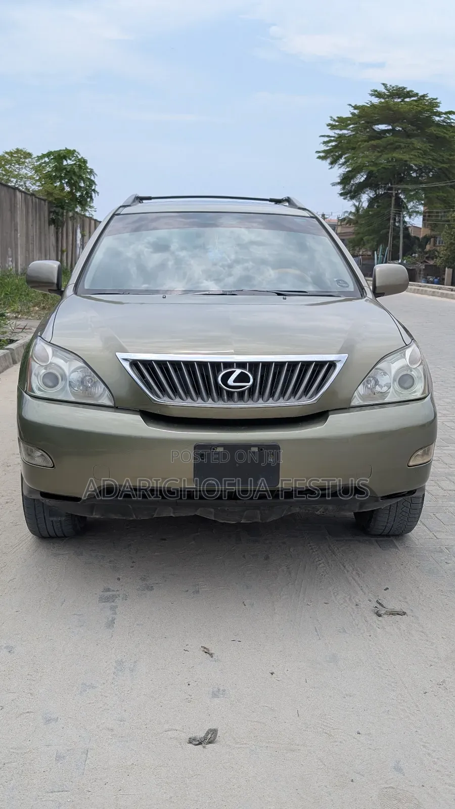 Lexus RX 2009 Green