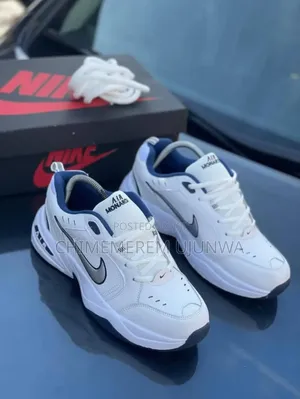 Beautiful Air Monarch