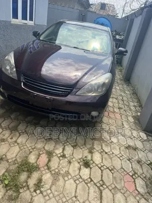Lexus ES 330 2005 Brown