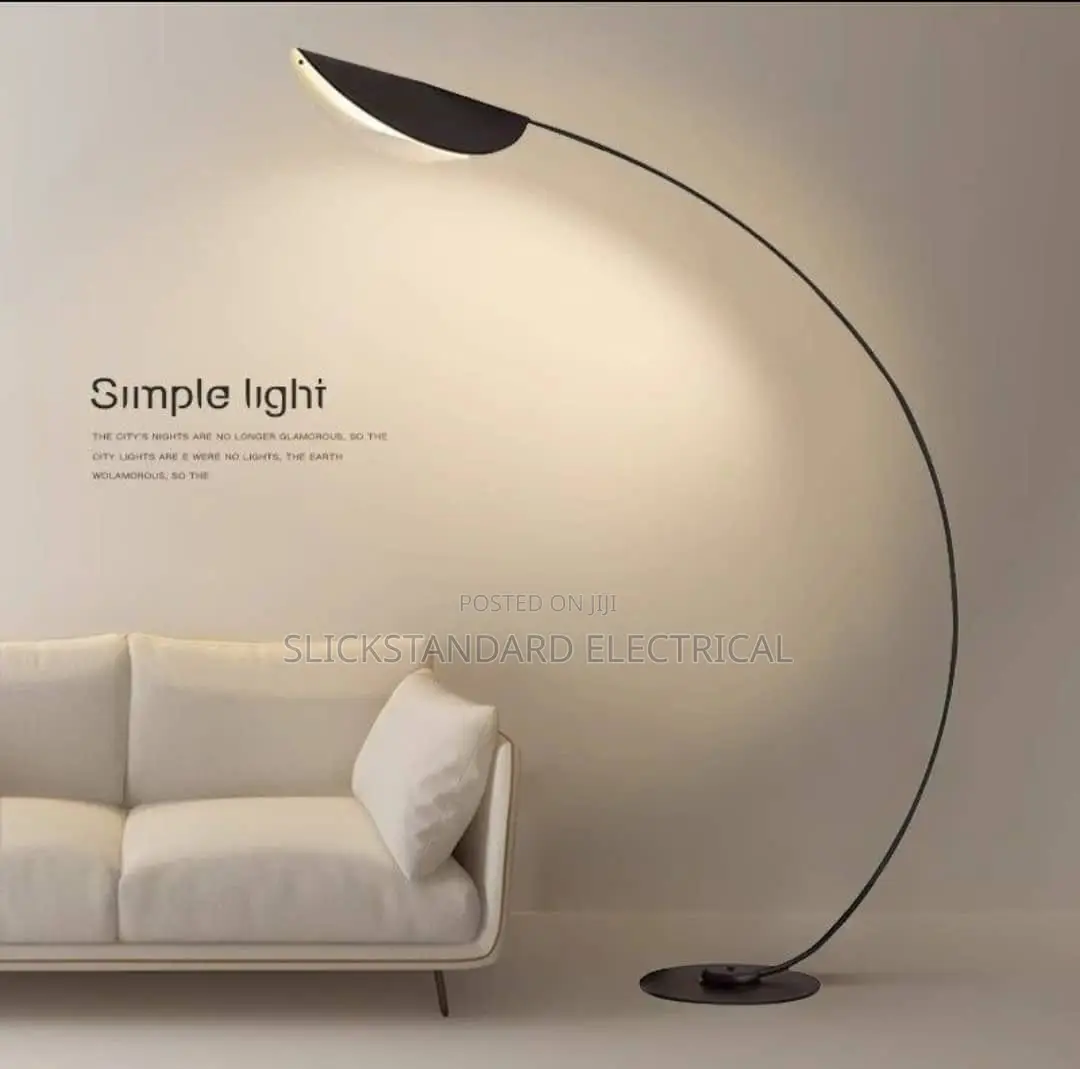 Standing Lamp Light