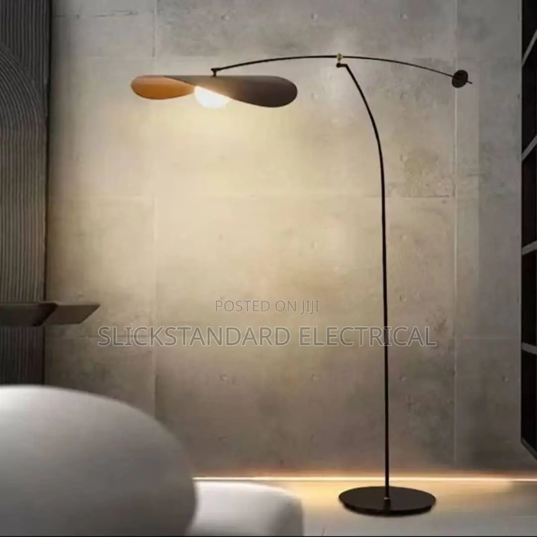 Standing Lamp Light