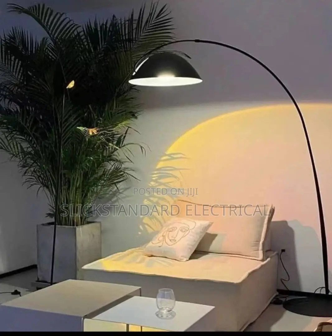 Standing Lamp Light