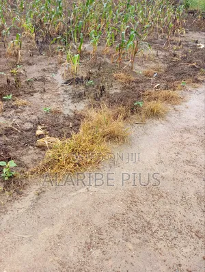 5,700 SQM of Residential Land 4 Sale at Maitama Main Abuja, Nigeria.