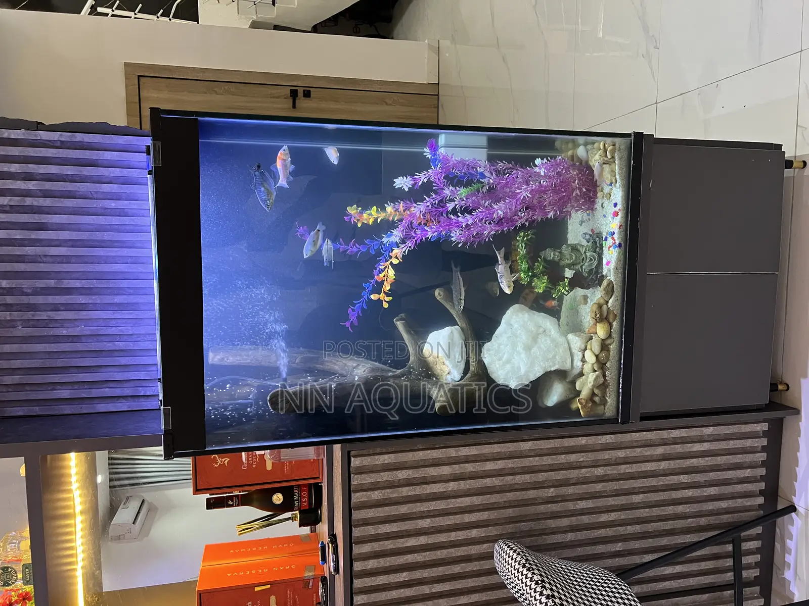 Aquarium With Stand