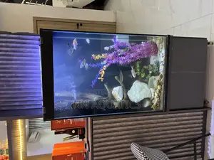 Aquarium With Stand