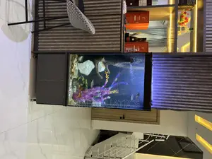 Aquarium With Stand