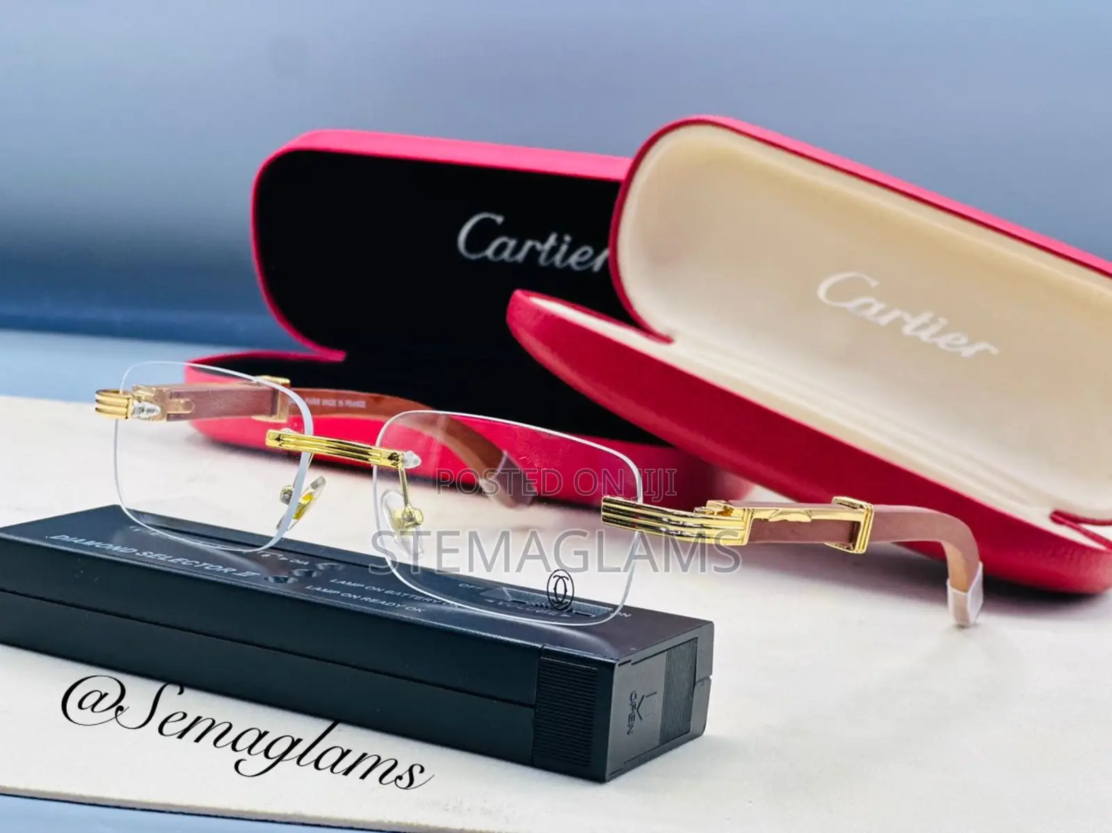 Cartier Eyewear With Elegant Accents