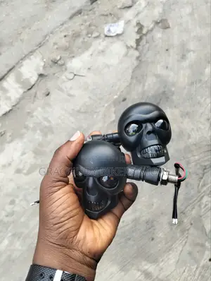 Skull Pointer