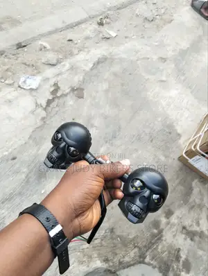 Skull Pointer