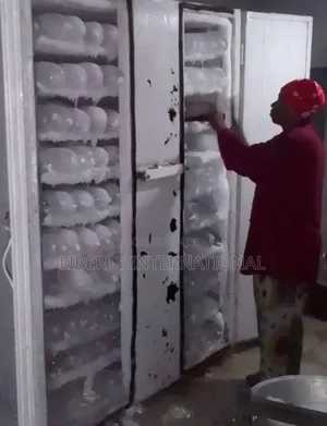 Fast 8 Hours Blocking Iceblock Machines Fabrications Call to Fabricate